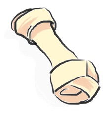 Ĵ